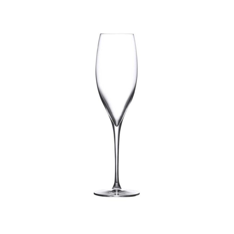 66098 Paşabahçe Nude Terroir Şampanya Kadeh 310 cc - 1