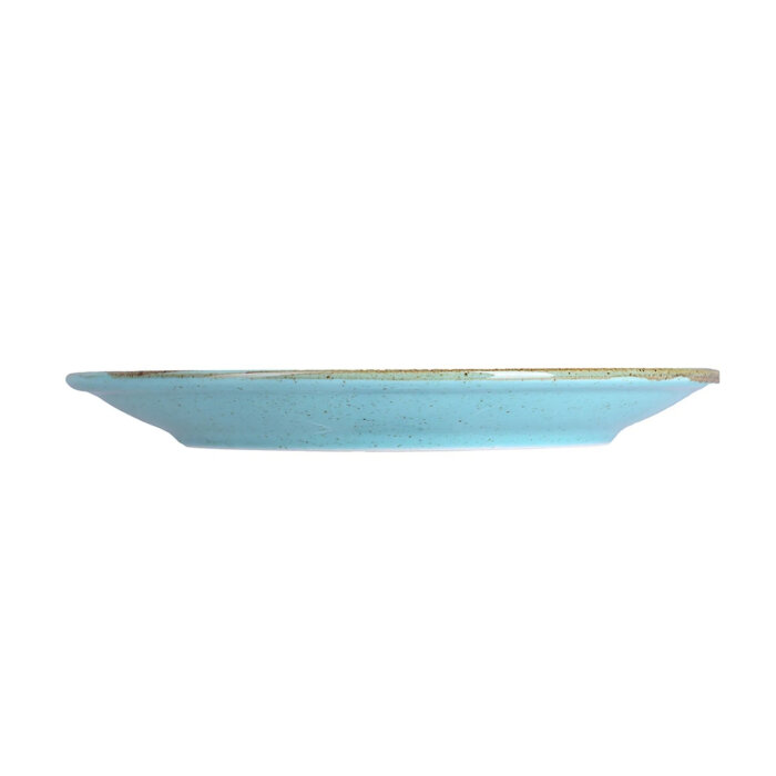 Porland Porselen 187630 Seasons Alumilite Turkua Düz Tabak 30 cm - 3