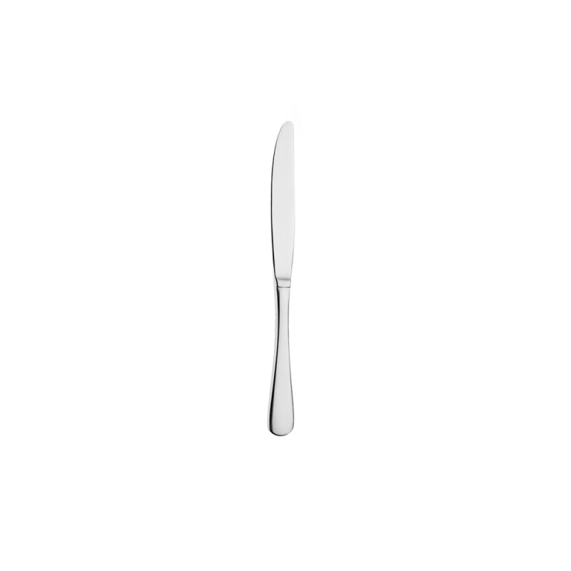 Aryıldız Gastro Yemek Bıçak 200 Mm - 1
