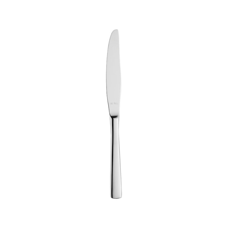 Aryıldız Paris Yemek Bıçak 230 Mm - 1