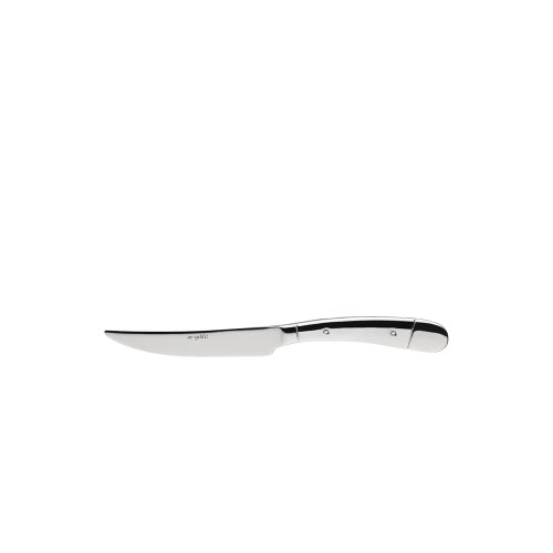 Aryıldız Steak Bıçak 230 Mm - ARYILDIZ