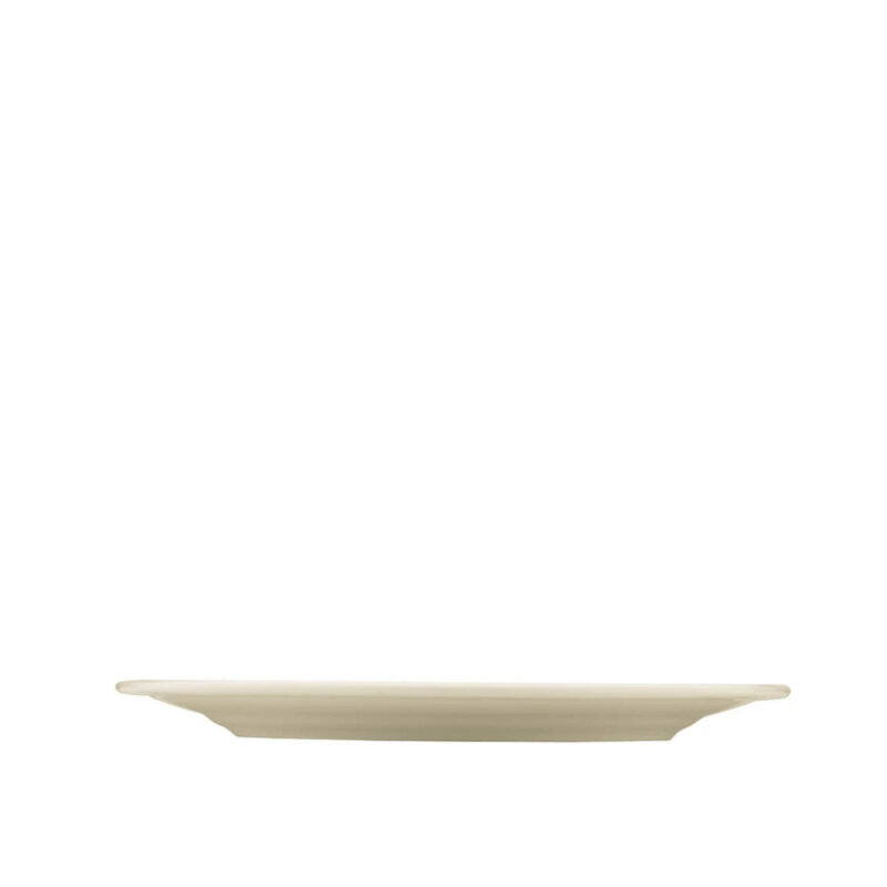 Kütahya Porselen Bone Horeca Line 25 cm.Düz Tabak - 2