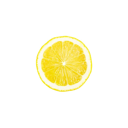 İthal Yapay Dilimlenmiş Limon 4-20 - ULTRAFORM İTHAL