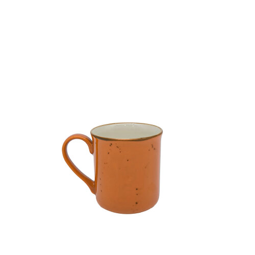 Zest Porcelain Klasik Mug-Paris Turuncu - ZEST PORCELAIN