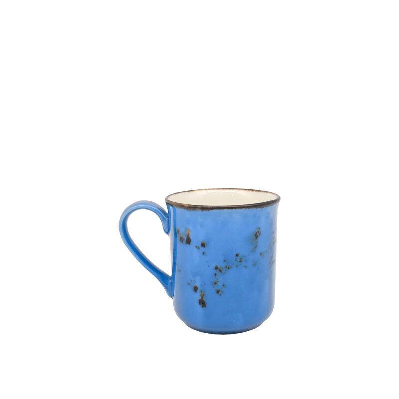 Zest Porcelain Klasik Mug-Paris Mavi - 1