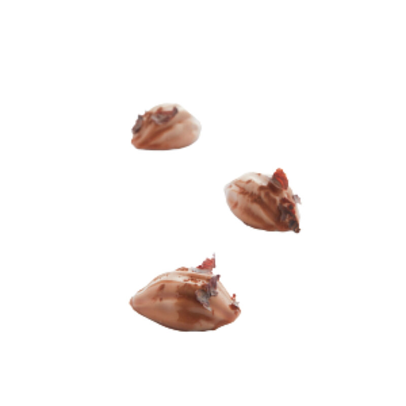 Martellato Mını Cocoa Kalıp - 2