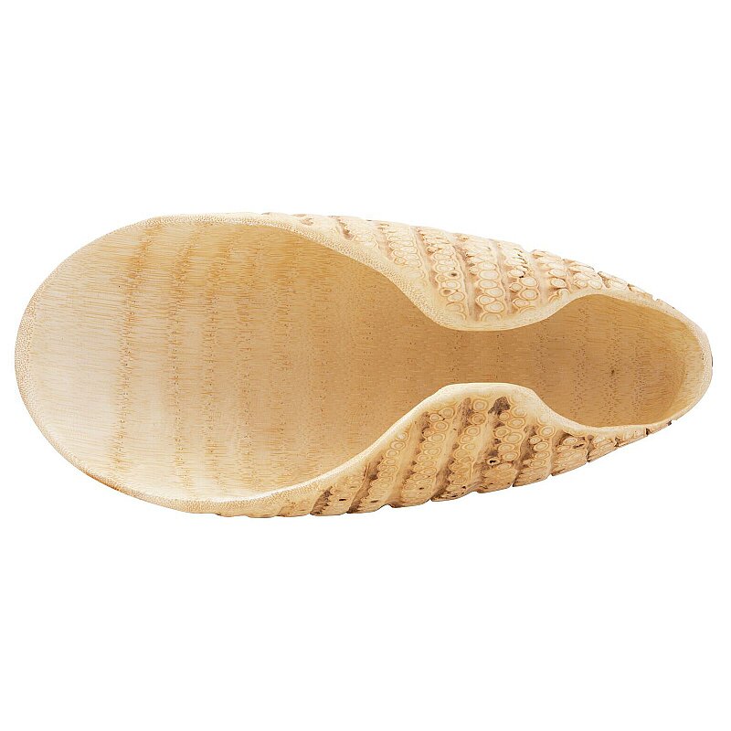 Paderno Sushı Contaıner Kabuk 32X12X10 cm - 4