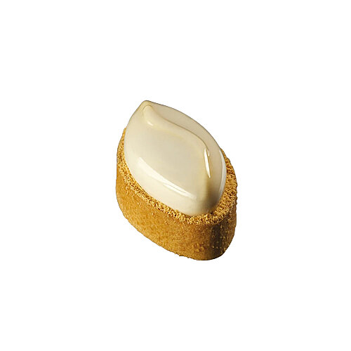 Pavoni Shell Fusto Kalıp 300X175 Mm - PAVONİ