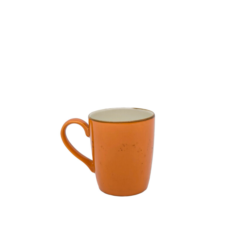 Zest Porcelain Sare Mug 255Cc-Paris Turuncu - 1