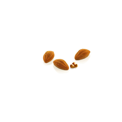 Silikomart Cacao Xs 12 N.16 50X28 H 19 Mm 36.407.87.0065 - SİLİKOMART