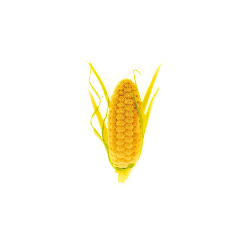 Silikomart Pannocchia 20 Silikon Pasta Kalıbı 36.327.36.0065 - SİLİKOMART