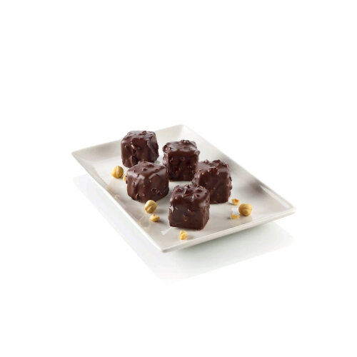 Silikomart Sf105 Silikon Pasta Kalıbı 36.105.00.0060 - SİLİKOMART