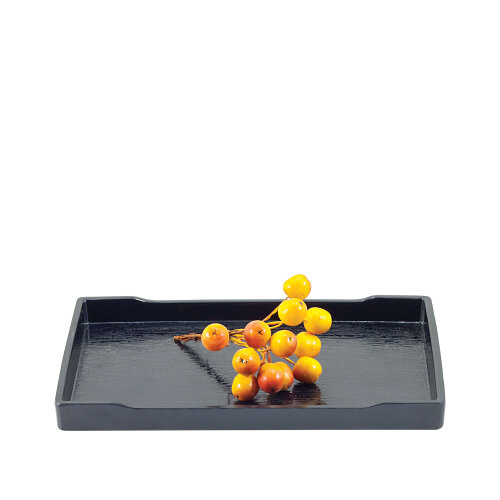 Siyah Melamin Dik Dörtgen Sunum Tepsi 22X30 Cm - ULTRAFORM MELAMİN