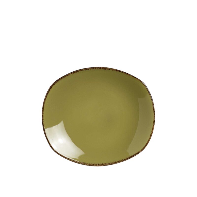 Steelite Terramesa Yeşil Renk Düz Tabak 25,50 cm 11220580 - 1