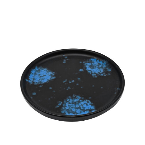 Zest Porcelain Step Tabak 21Cm -Oxy Blue - ZEST PORCELAIN