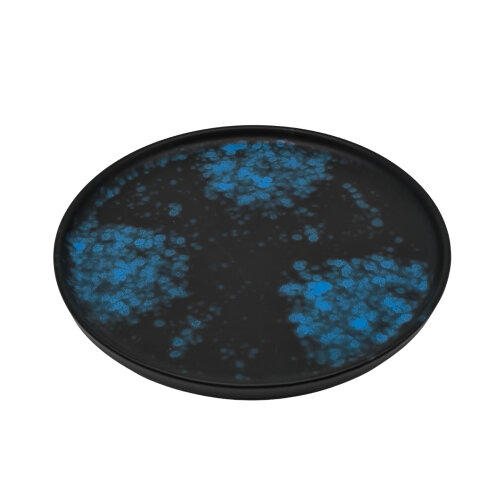 Zest Porcelain Step Tabak 27 Cm-Oxy Blue - ZEST PORCELAIN