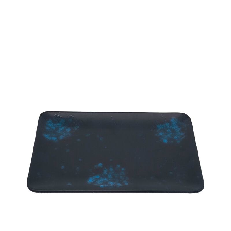 Zest Porcelain Tk Sunum Tabak 30X20Cm-Oxy Blue - 1